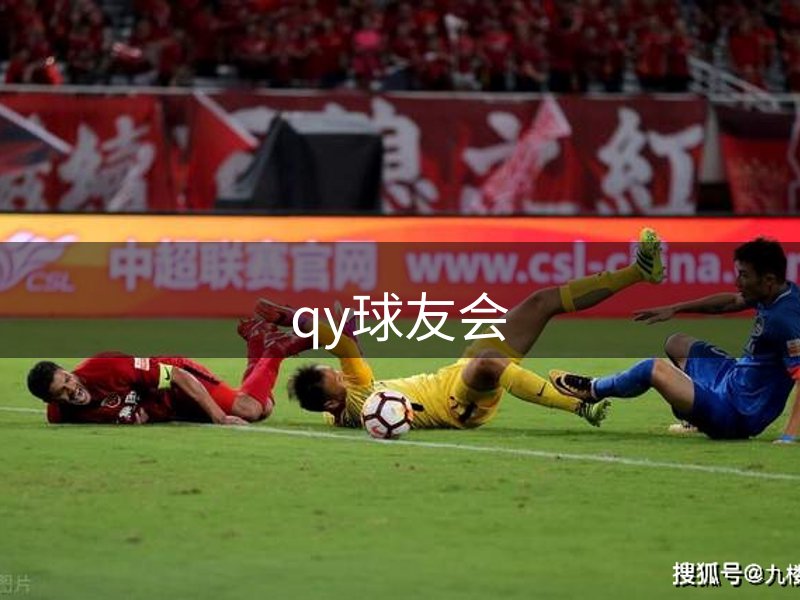 企业团队
